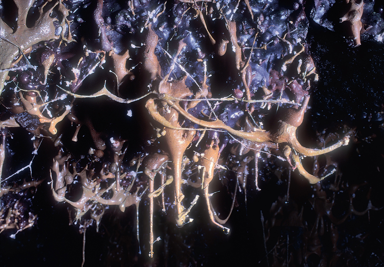 Spatter - National Speleological Society