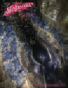 NECaver_Vol55_4-pdf-791x1024