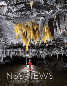 Screenshot 2024-12-04 181827