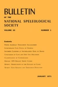 Vol-33-num-1-pdf-683x1024