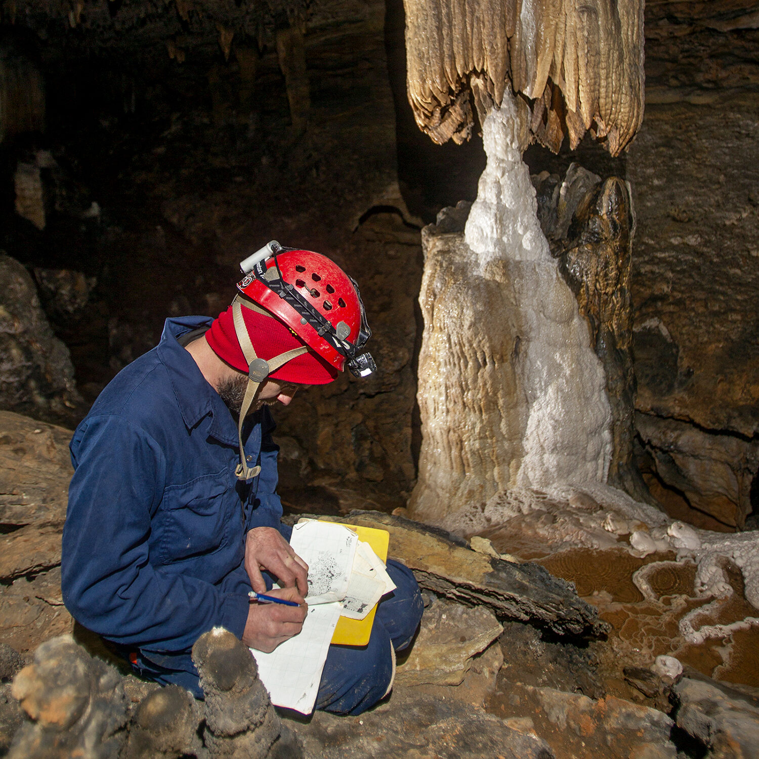 Sketching Salamander 📷 Derik Holtmann